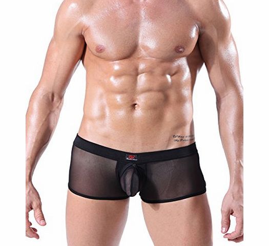 Mens Sexy Transparent Mesh Underwear Boxer Briefs Low Rise Trunk (M, Black+Black)