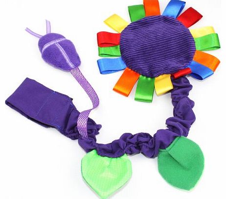 Sensory Bambini Sensory Flower