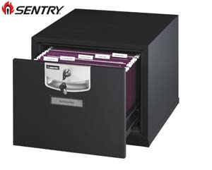 Sentry firesafe professional stackable filer