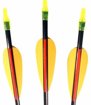 Set of 3 Archery Arrows 1092CX