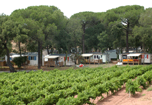 SEVEN Night Camping Break at Les Cigales, Var