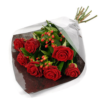 SEVEN Wonders - flowers