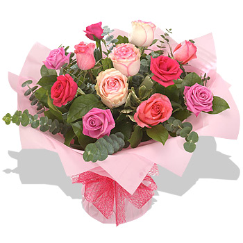 Shades of Pink - flowers