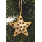Shared Earth Beaded Star Christmas Tree Decoration