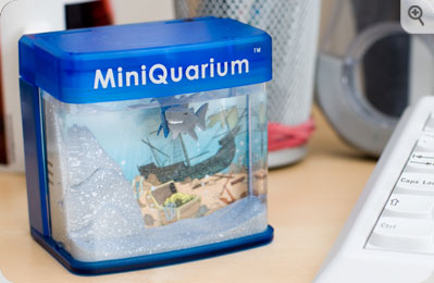 Shark Encounter MiniQuarium