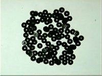 SHAW s Sw200/1 Wallet (100) Spare Wheels For Sw100