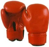 SHIHAN Boxing Gloves Leather - RED/Blue Palm - 12oz-New Year Sale Price