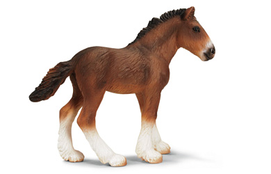 Shire Foal