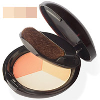Shiseido Powder - Luminizing Color Powder Golden Beige