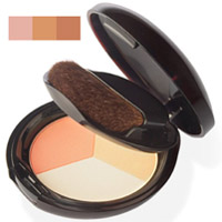 Shiseido Powder - Luminizing Color Powder Golden Bronze