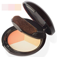 Shiseido Powder - Luminizing Color Powder Translucent L1