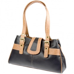 Shoe-Shop.com Female Shoulder bag Accessories in Black-Beige