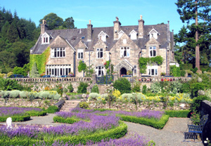 Short Breaks Traditional Afternoon Tea for Two at