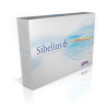 Sibelius 6 Educational Site License