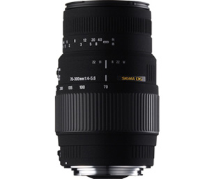 Sigma Lens for Canon EF - 70-300mm F4-5.6 DG MACRO