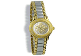 Silver Gold CoinWatch L37322