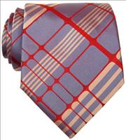 Simon Carter Blue / Red Mesh Silk Tie by