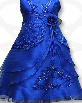 Flower Girls Formal Layered Wedding Dresses Bridesmaid Party Dress Age 4 to 15 Y (13-14 Years, Royal Blue)