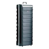 SKB Large Stand ATA Case