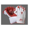 Academy Wicket Keeping Gloves