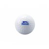 Slazenger International Hockey Balls (Pack of 6)