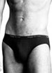 Basics twin pack briefs