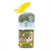 Small Animal Oxbow Orchard Grass 1.1Kg