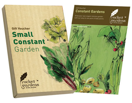 Small Constant Garden Box