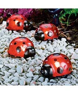 Solar 4 Pack Ladybird Lights