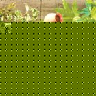 Smart Solar Cascade Water Feature