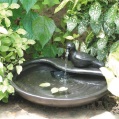 dove water feature