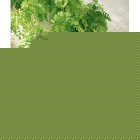 Smart Solar Stainless Steel Solar Powered Bird Bath