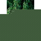 Smart Solar Sunjet 150 Solar Mini Water Pump