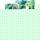 Smart Solar Sunjet 380 Solar Water Pump duplicate