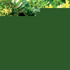 Smart Solar SunJet Magic 290 Solar Pond Pump