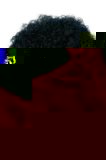 Smiffys Budget Curly Black Afro Wig