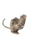 Smiffys Realistic Hairy Fake Rat 6` Long
