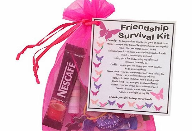 SMILE GIFTS UK Friendship/ Best Friend / BFF Survival Kit Gift (Great present for Birthday or Christmas)