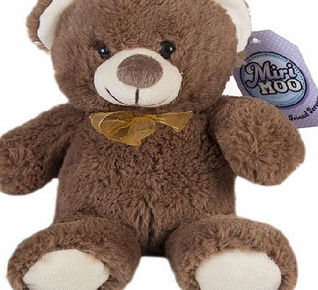 Soft Brown Teddy Bear