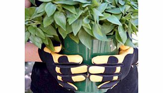 Soft Touch Gloves - Ladies