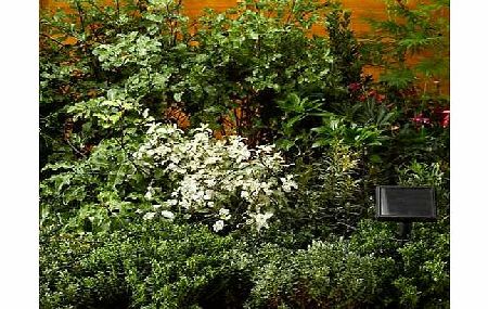 SOLAR Powered White LED String Lights