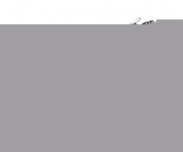 Sole Fitness SB900 Training Bike