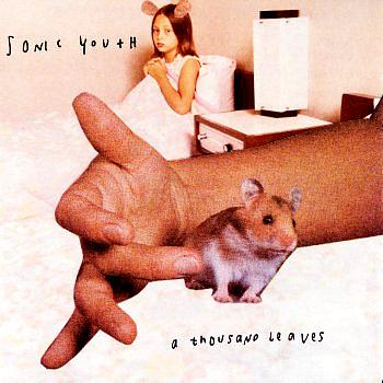 Sonic Youth A Thousand Leaves