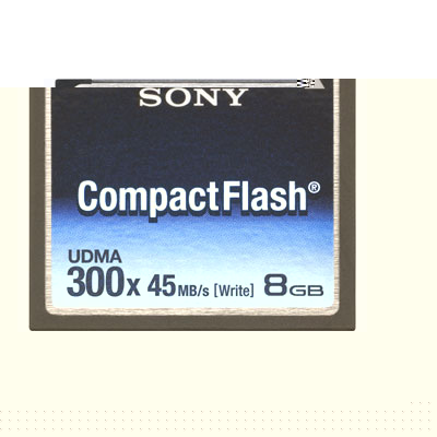 8GB 300x Compact Flash