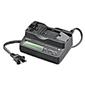 AC-V700A Quick Info Charger for L Series