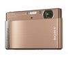 SONY DSCT90 brown