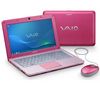 SONY VAIO VPC-W12S1E/P Netbook