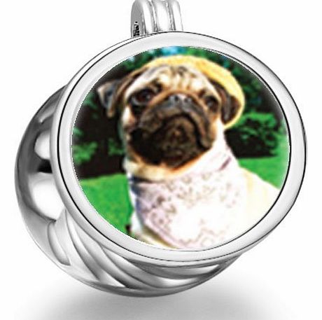 Golfing Pug Cylindrical Photo Charm Beads Fit Pandora Chamilia Biagi beads charms fit pandora Bracelet