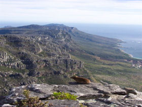 South Africa National Park internship