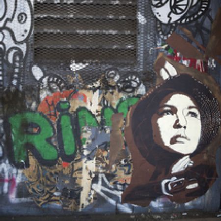 South Bronx Renaissance Tour - Adult